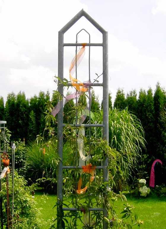 Rosenobelisk 1