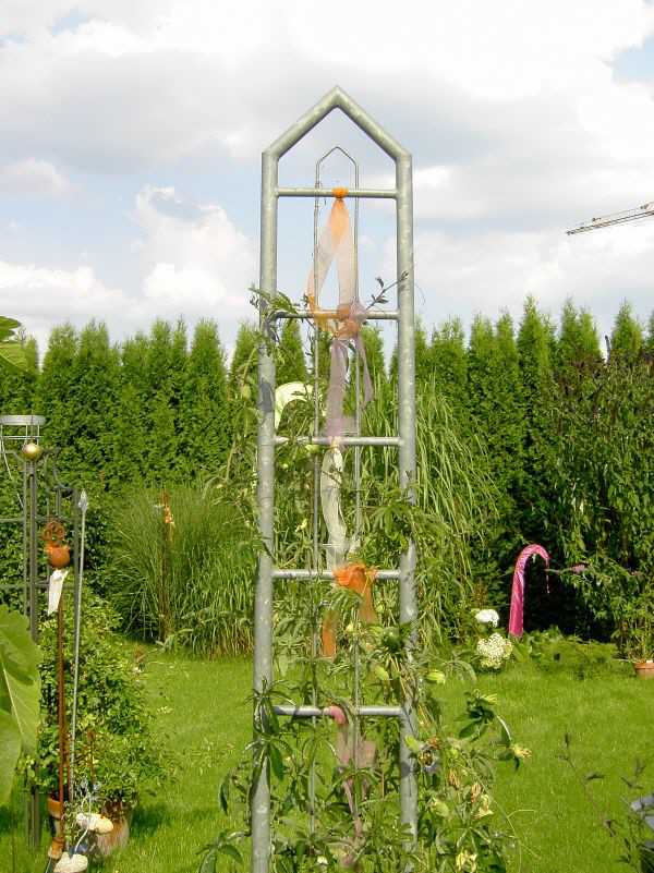 Rosenobelisk 3